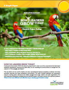 how_leaders_grow